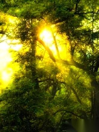 老公高中班上45个人，已经走了3个。
一个癌症，一个车祸。还有一个，全靠药片吊着