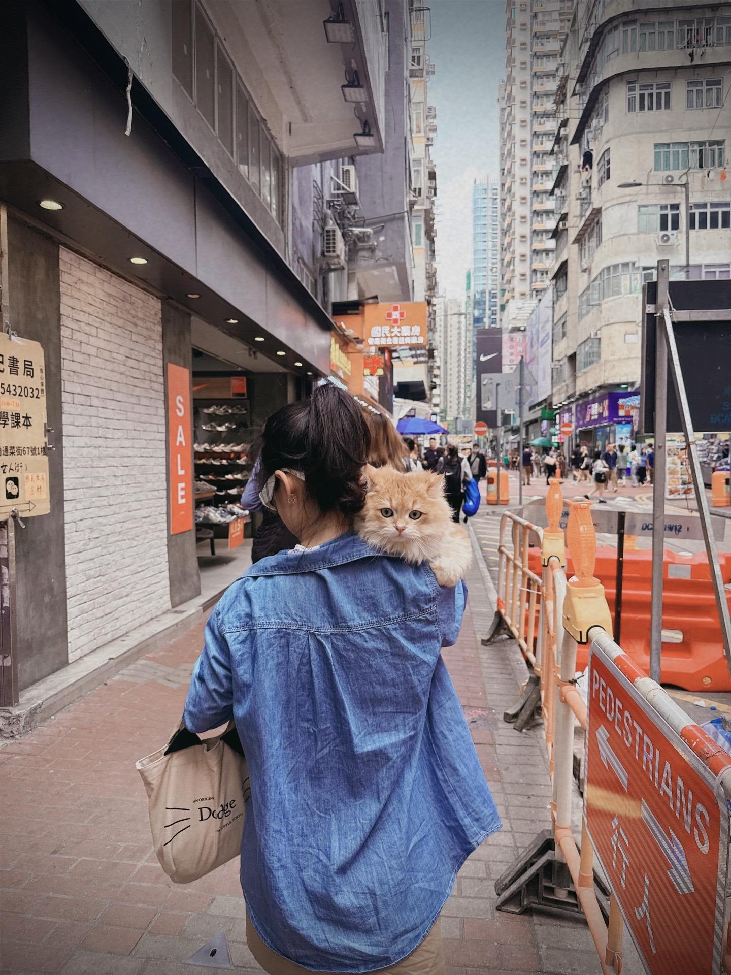 人間不值得，但貓貓值得😊