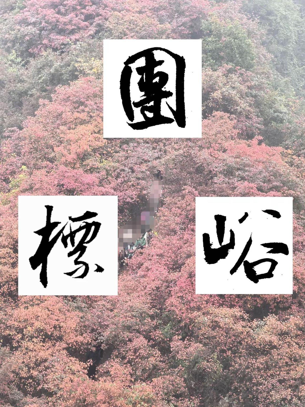 团标峪去看漫山红叶，可惜天公不作美，淅沥小雨中，群山都在雾中隐去了身影。团标峪 