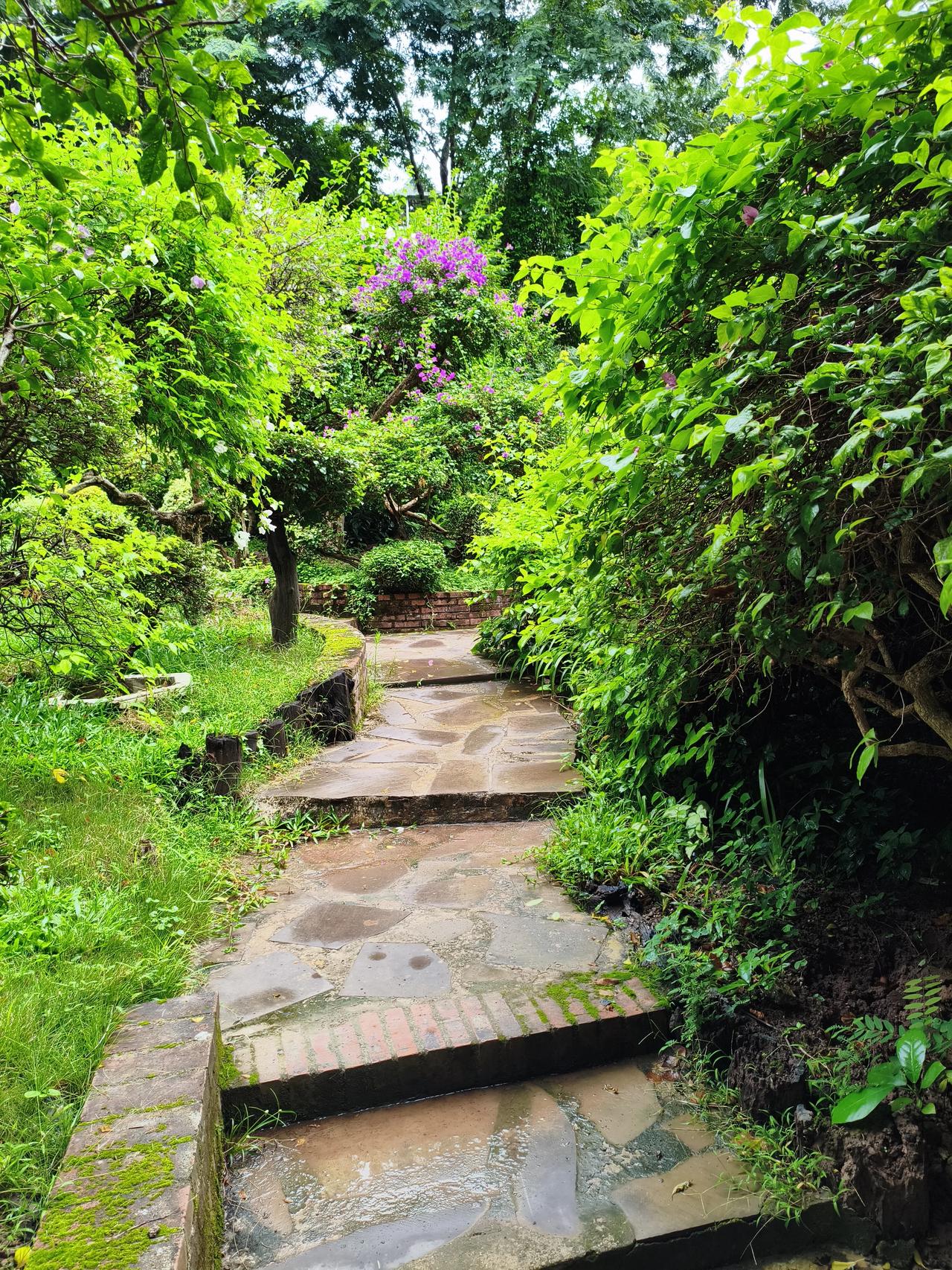 你退休后的生活状态是什么样子的?我去年退休，现在已退休18个月，现在的生活状态是