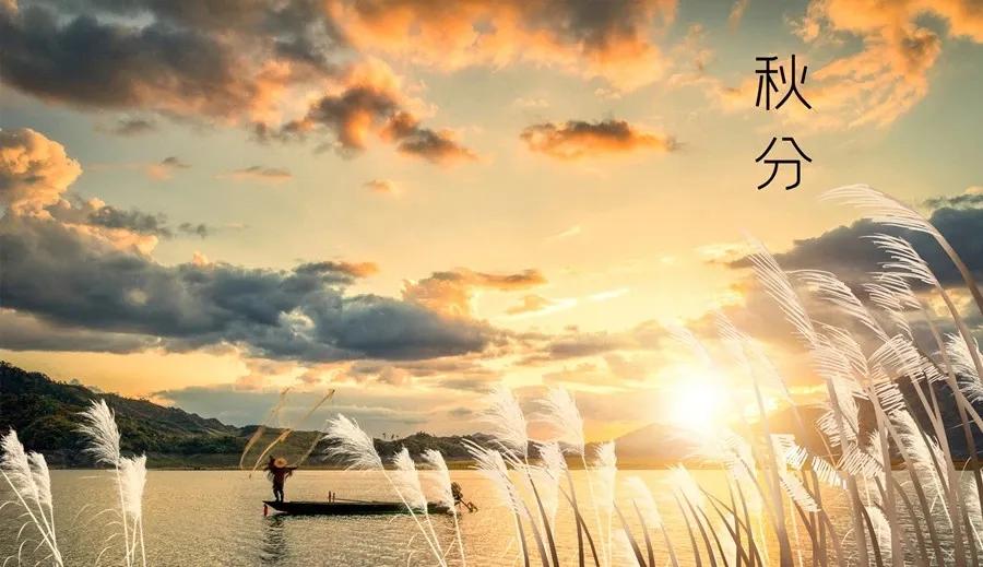 秋分过后，天气真的舒服多了，该来的太阳终于来了，该来的凉风也终于来了，秋日过半，