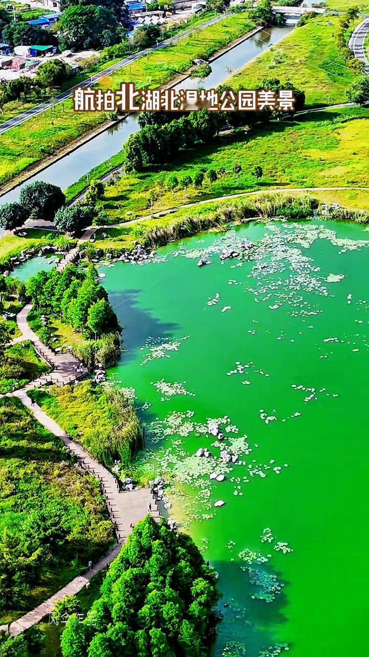 航拍北湖北湿地公园美景。
风伞作品。
放慢脚步，听一听夏天的风，吹开繁花，醉了初