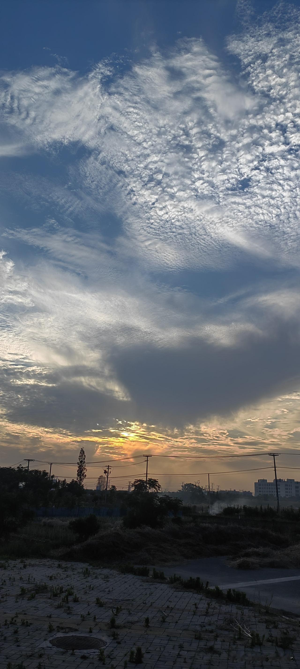 《前行》
 
纵有迷雾遮远方，
脚步从来不曾慌。
一身傲骨迎世事，
步步生光向朝