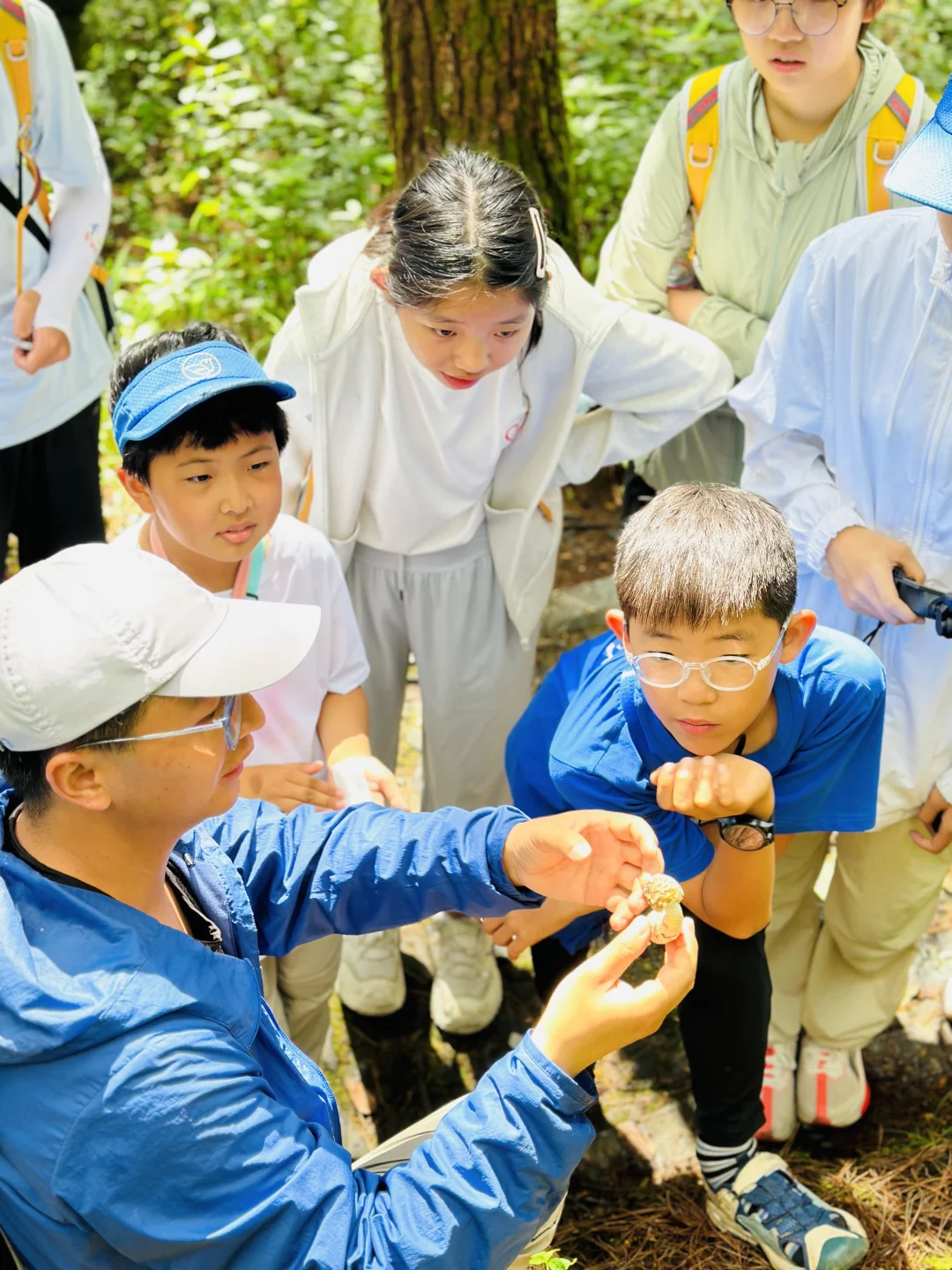 一朵野生菌，让15个孩子瞬间精神了