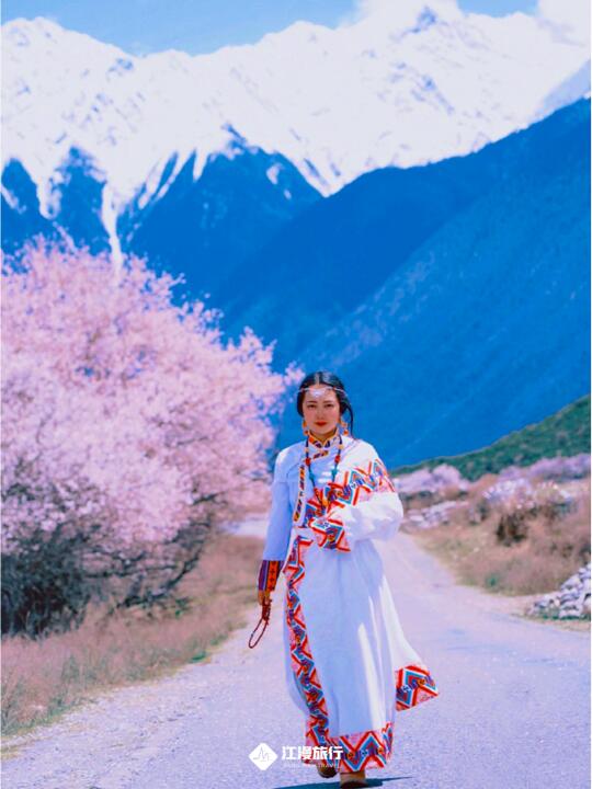 连续3年去了林芝赏🌸桃花，说点大实话...
