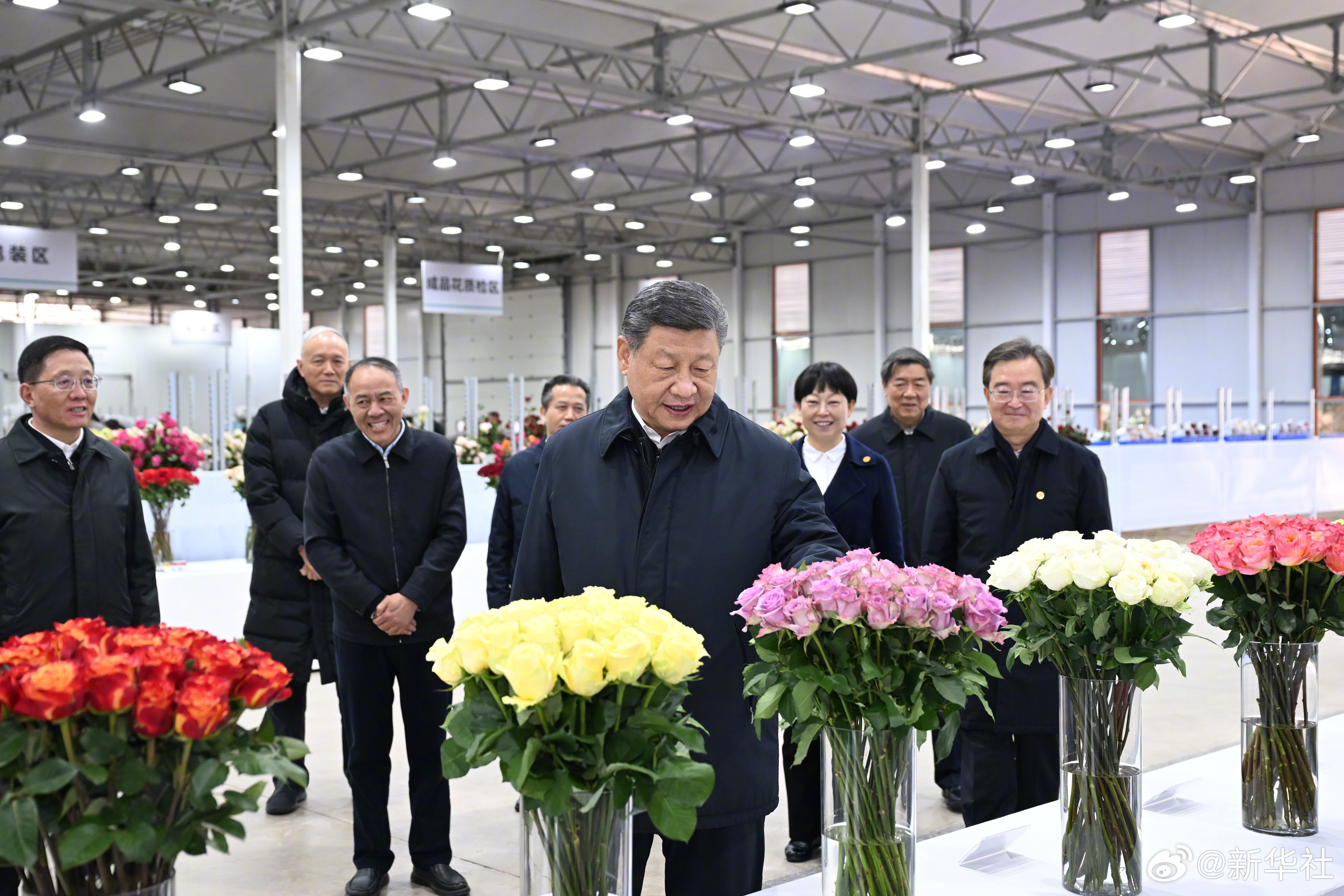 【习近平：祝你们的生活像花儿一样美！】习近平总书记19日下午来到云南丽江现代花卉