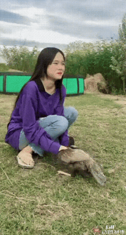 公鸡：你人还怪好勒！
话说回来，如果换做是人，应该是个什么罪[捂脸]