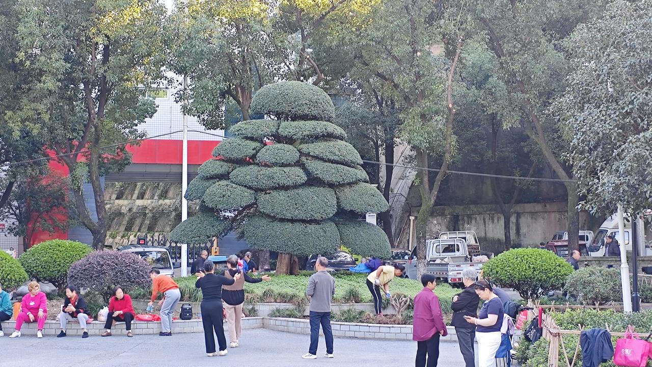 表演课追求：全程完美，不出差错，评委看着好看。
真正的好课：直面学情，解决问题，