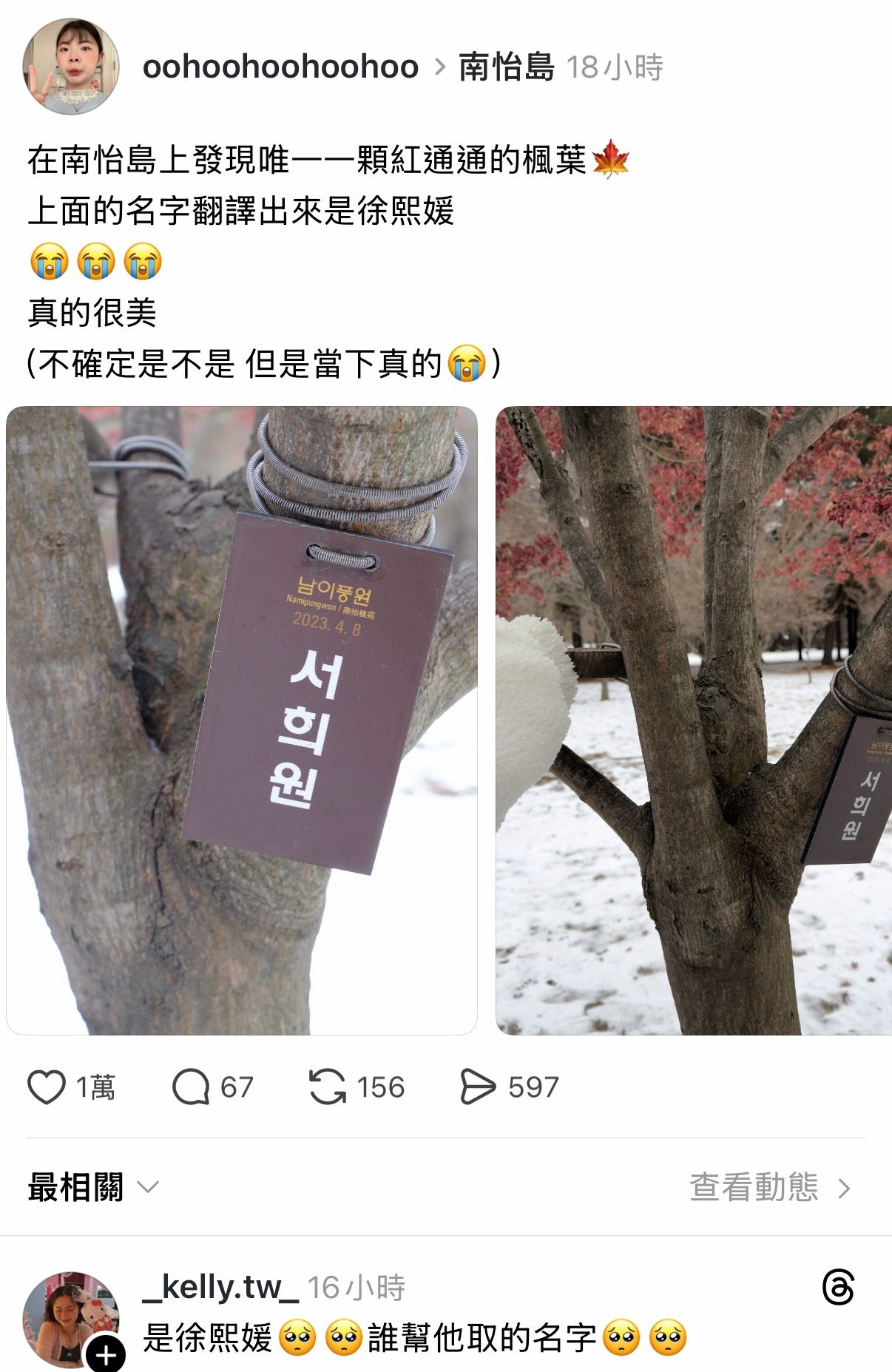 网友发现一棵枫树名字是徐熙媛🥹雪地里好美的一棵枫树🍁❄️「只有她的树转红未落