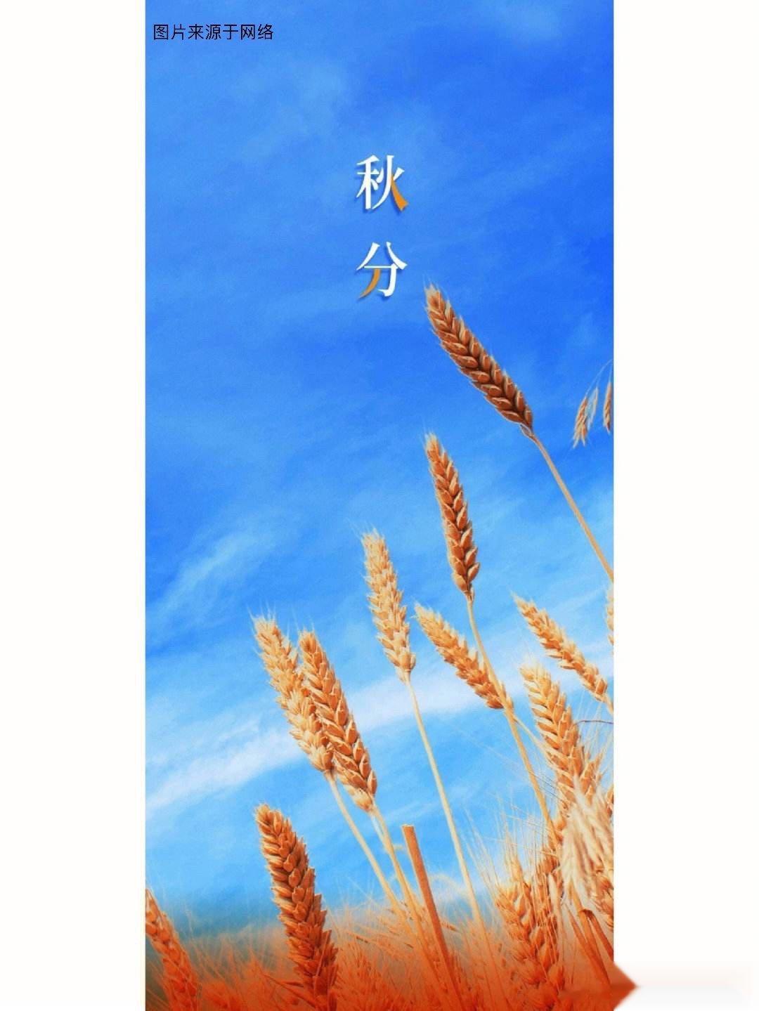 秋分入秋天，养生防肺火——秋分”到了，是秋季的第4个节气。和春分一样，秋分也是古