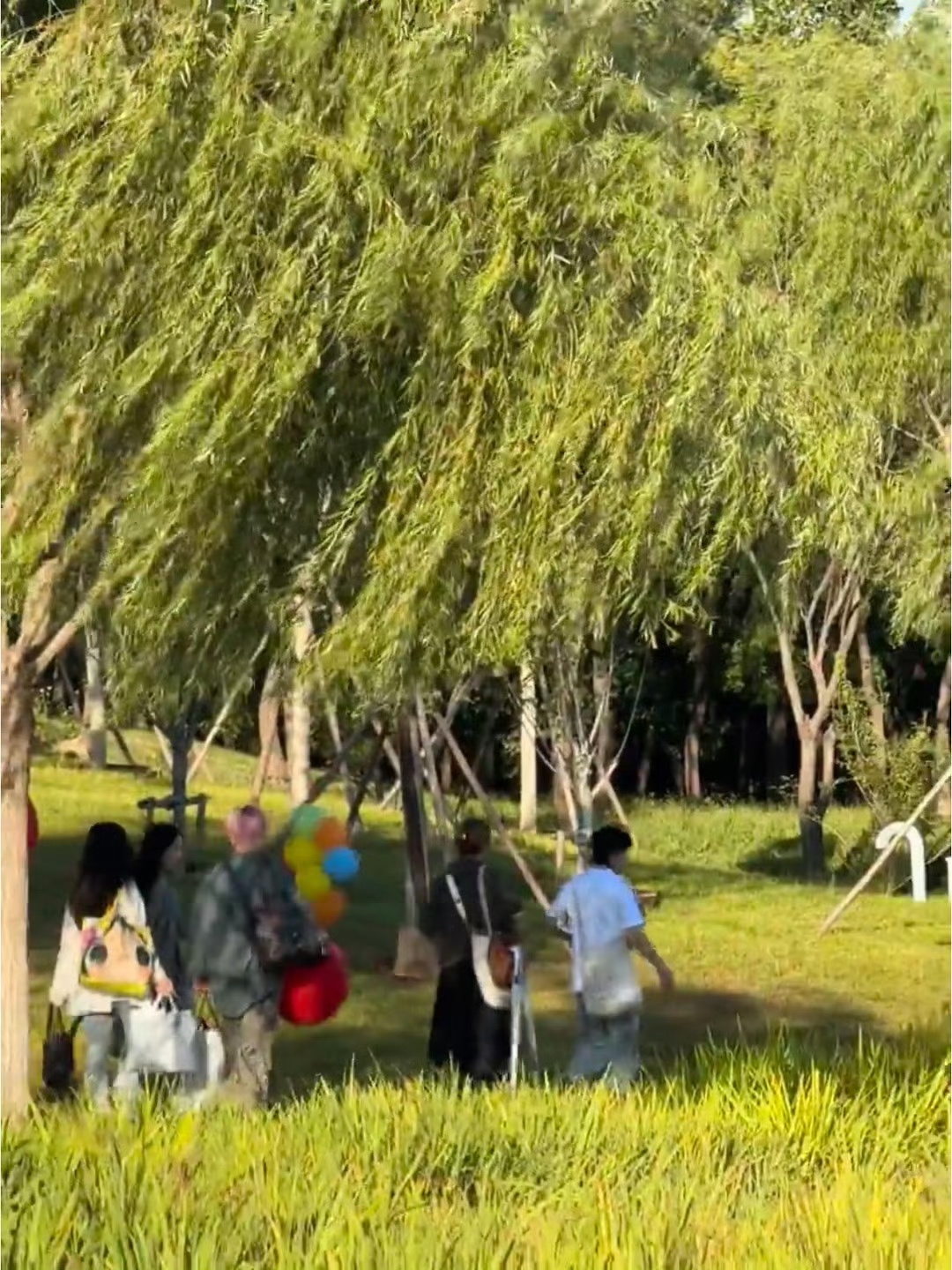 公园偶遇周雨彤北京公园偶遇周雨彤 北京公园偶遇周雨彤，好惬意啊！ ​​​