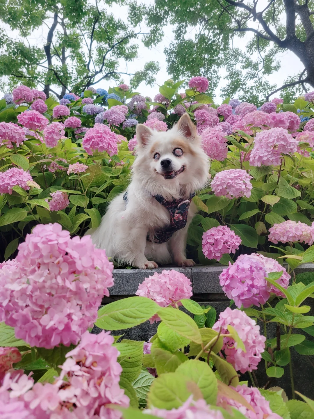 盛夏来啦！