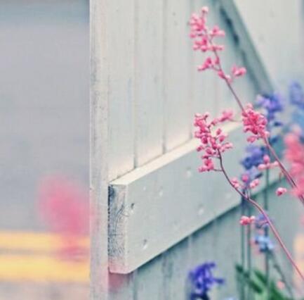 这4个星座最值得托付终身，你们认同吗？【摩羯座】摩羯比金牛更有赚钱头脑、比处女更