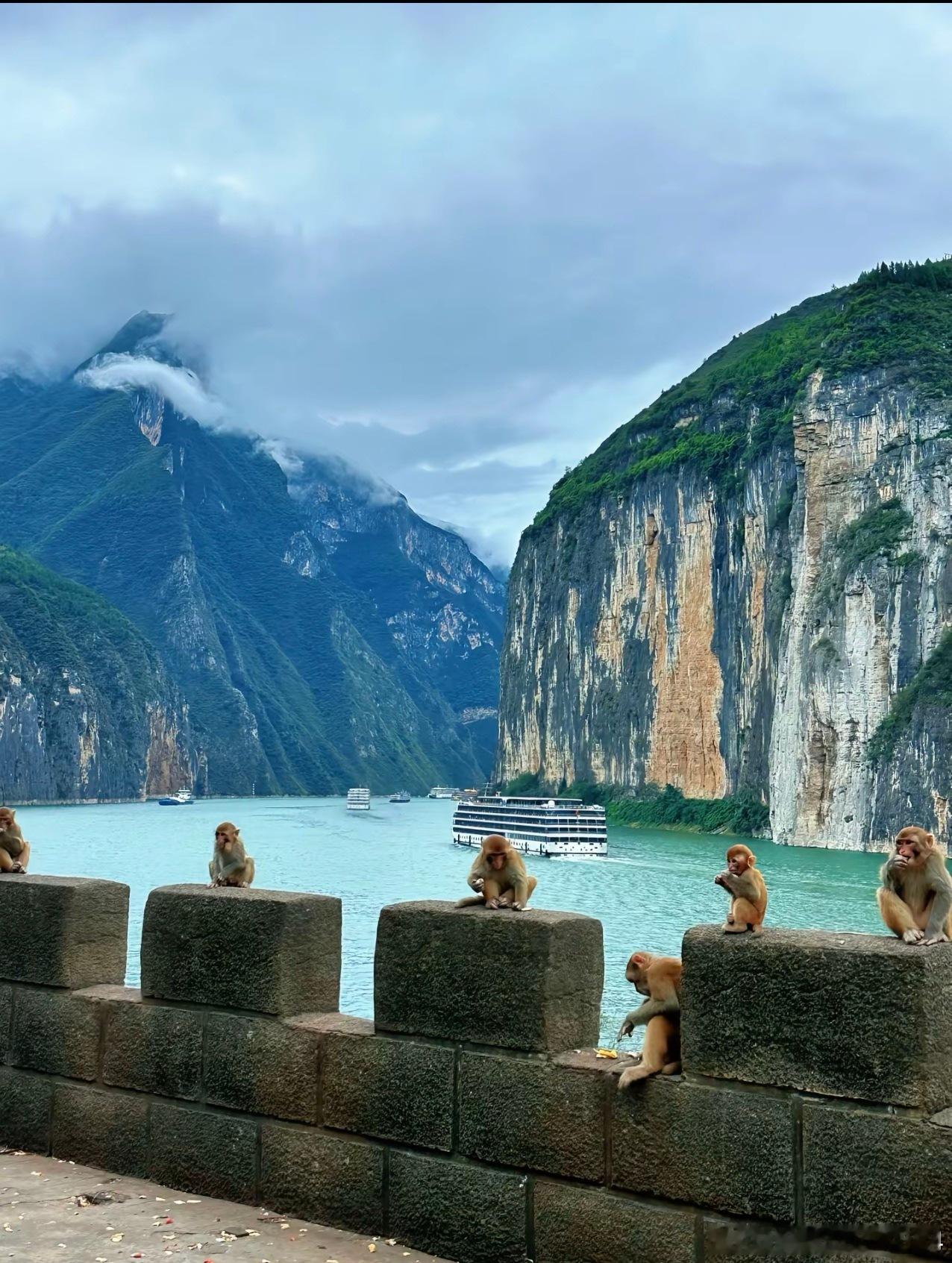 假期随拍[嘻嘻][嘻嘻][嘻嘻][嘻嘻][嘻嘻]拥抱大自然，享受生活…成毅宝我们