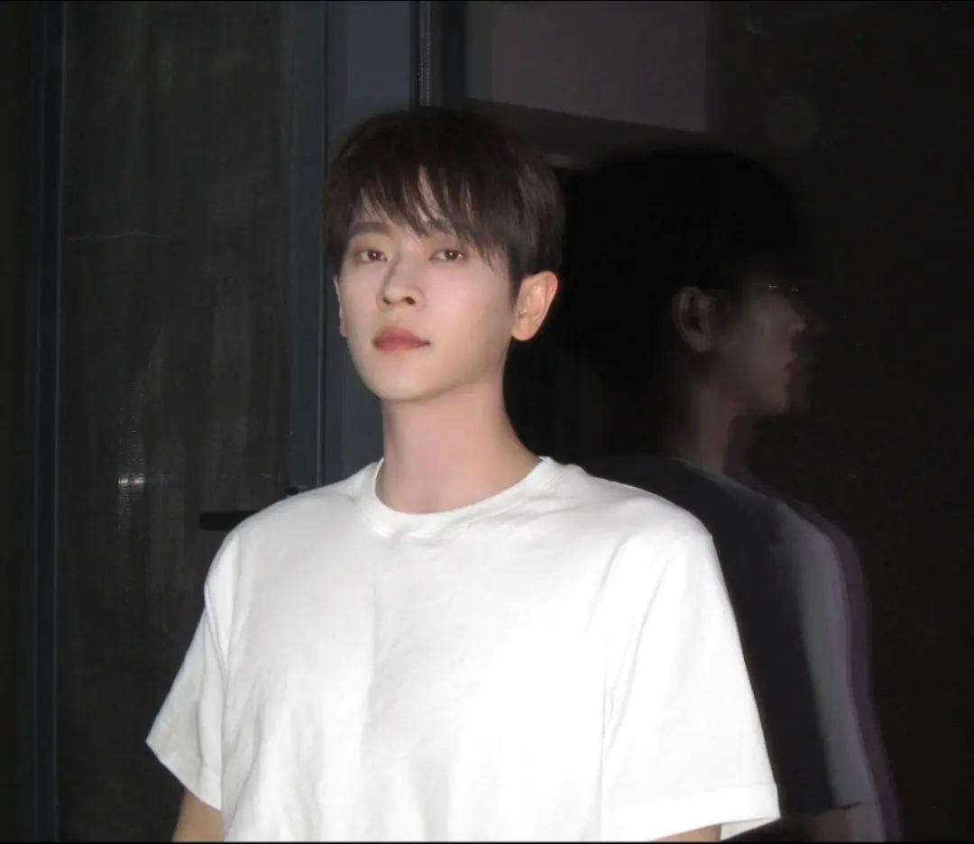 凌晨四点我看见海棠花未眠。