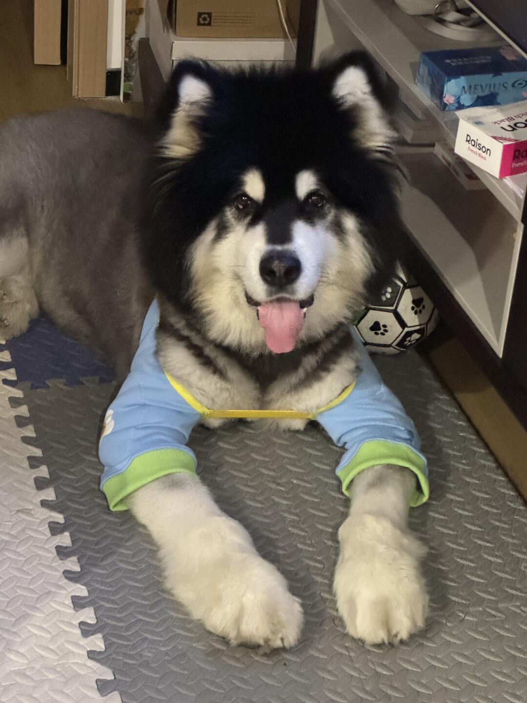 穿套袖了