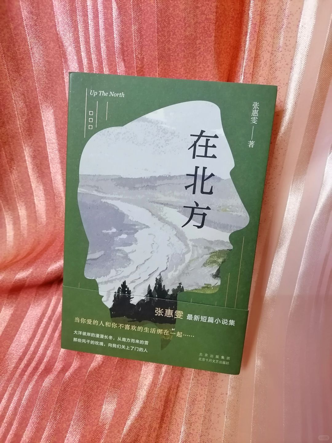 《在北方》
	
作者：张惠雯
出版社：北京十月文艺出版社
	
《在北方》是张惠雯...