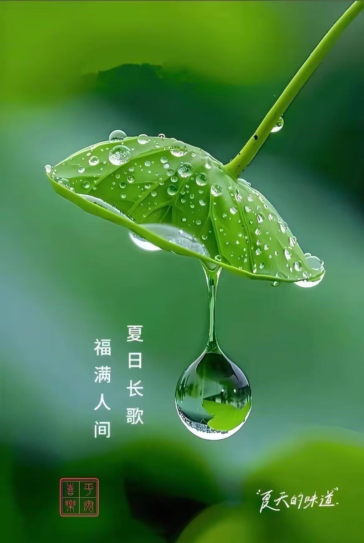 【心语点滴】
人与人最舒服的关系，是彼此珍惜，双向包容，倘若始终只有一方迁就，不