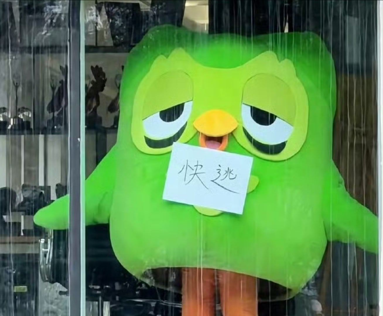 数十万爆雷车企车主售后困境  的亏有个315，要不然还没地方去找了呢车是你们造的