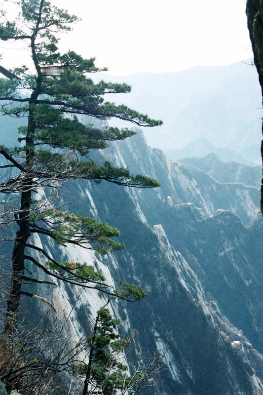 12月14日，李连杰携小女儿现身安徽九华山，还在社交平台发布动态。视频里，烟雨朦