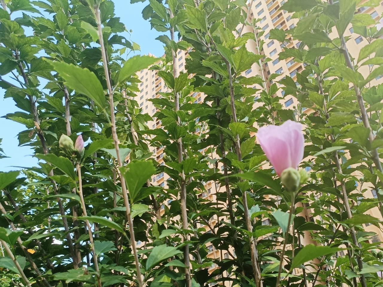 退休后怎么安排生活才有意义呢？照顾老人，照看孙子，上老年大学，旅游，还有什么呢？
