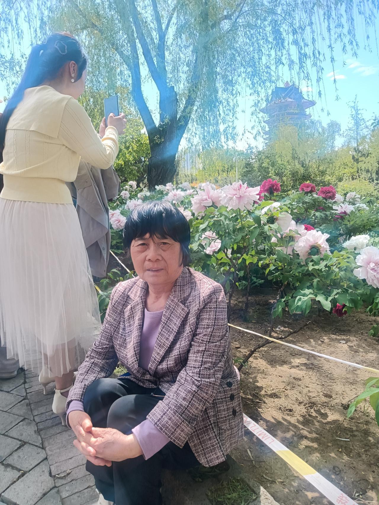 牡丹园
文/李兴伟
南过沂龙大桥南，
向西三里不遥远。
缈缥山仙门依南，
乃是一