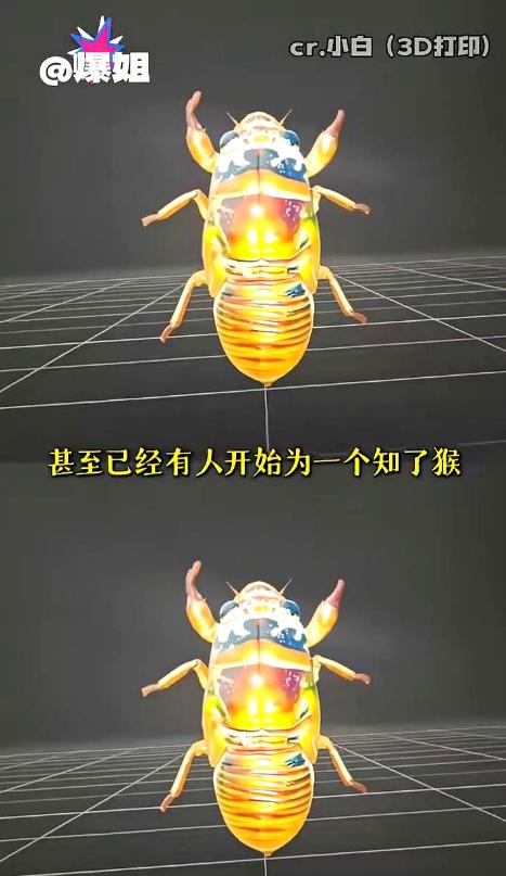 山东抓知了猴的这批人最近估计快要崩溃了，他们千算万算，也没算到能碰上科技感拉满的