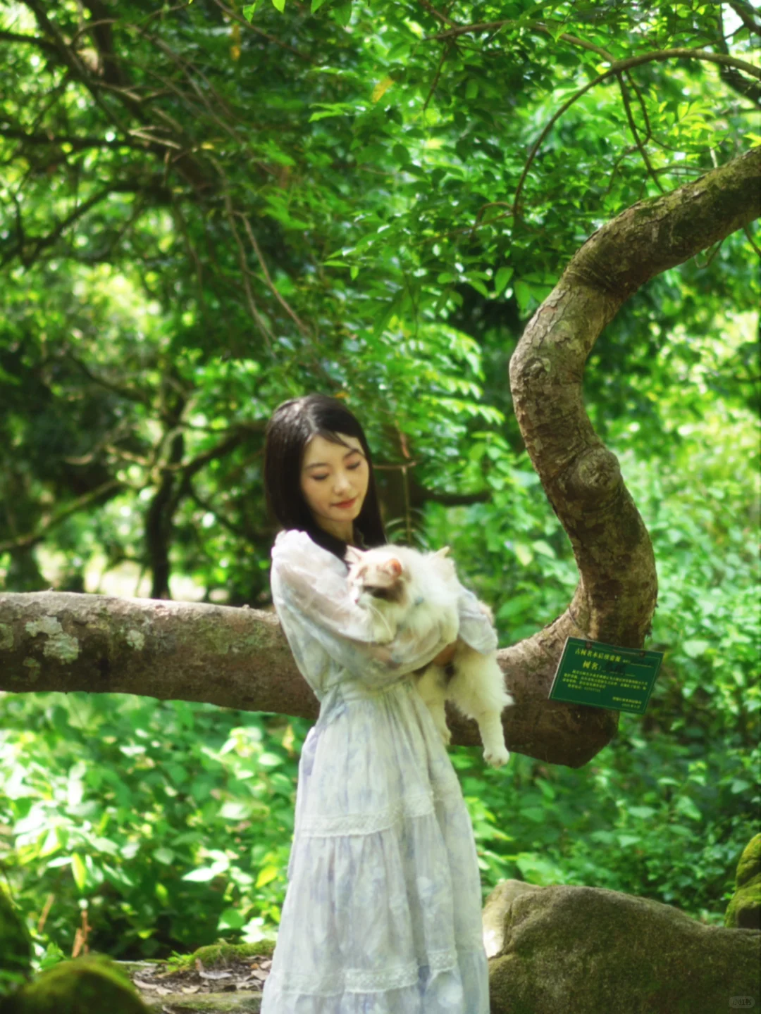 今日不发科研，分享家猫～🐱😙