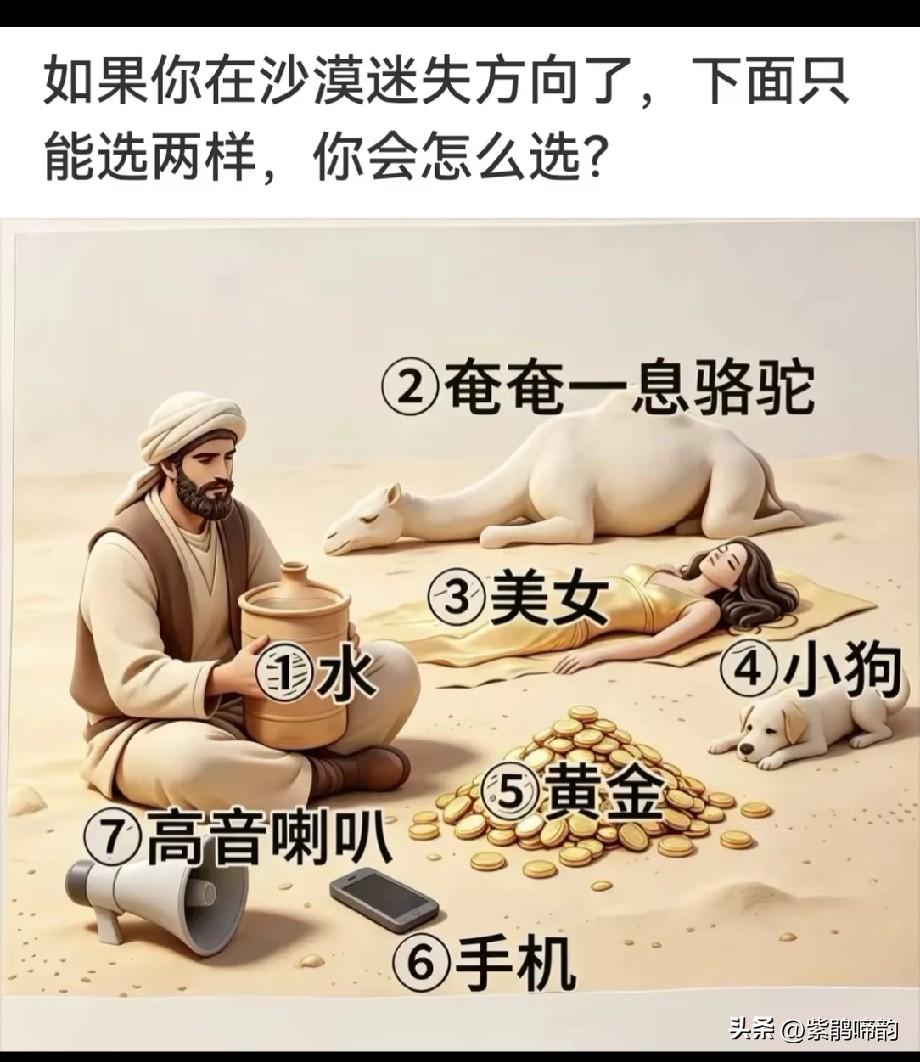 如果你在沙漠中迷失了方向。图中只能选择两样，你会怎么选？