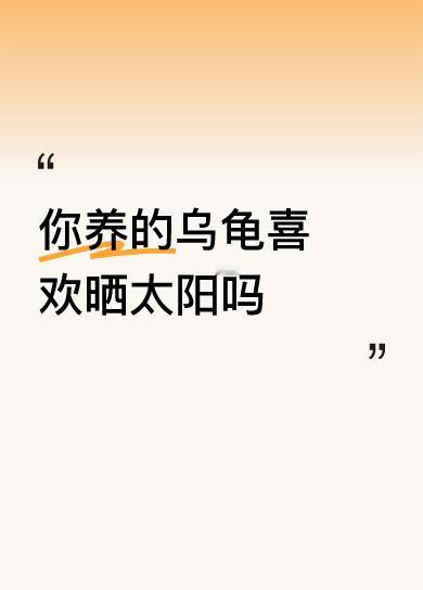 你养的乌龟喜欢晒太阳吗为了让乌龟更健康，有时间就带它出去溜溜[呲牙]