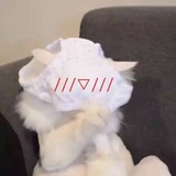 小真爱读影视剧
