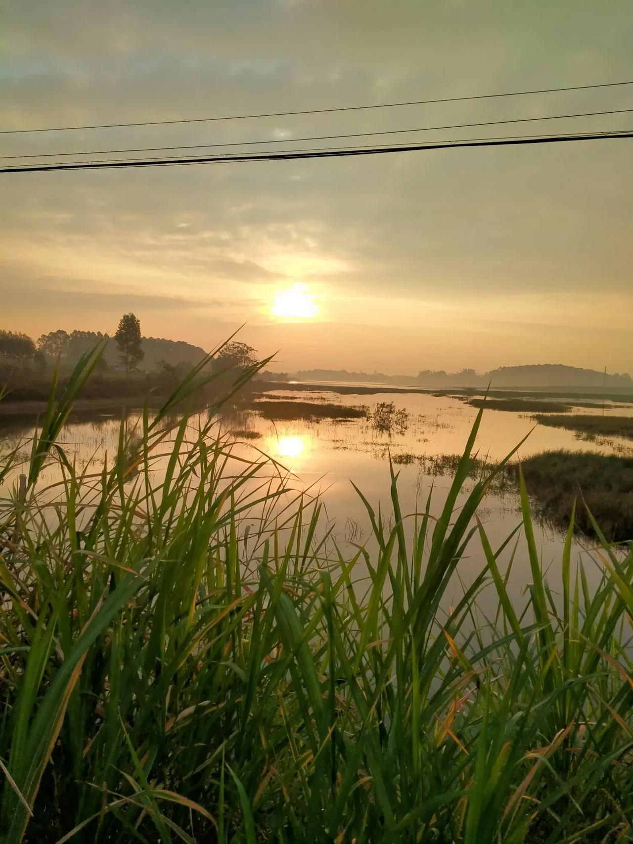 分享冬日好心情岁月流转，四季更迭，愿你心中常驻喜悦，忘却忧愁。冬日的暖阳，是不期