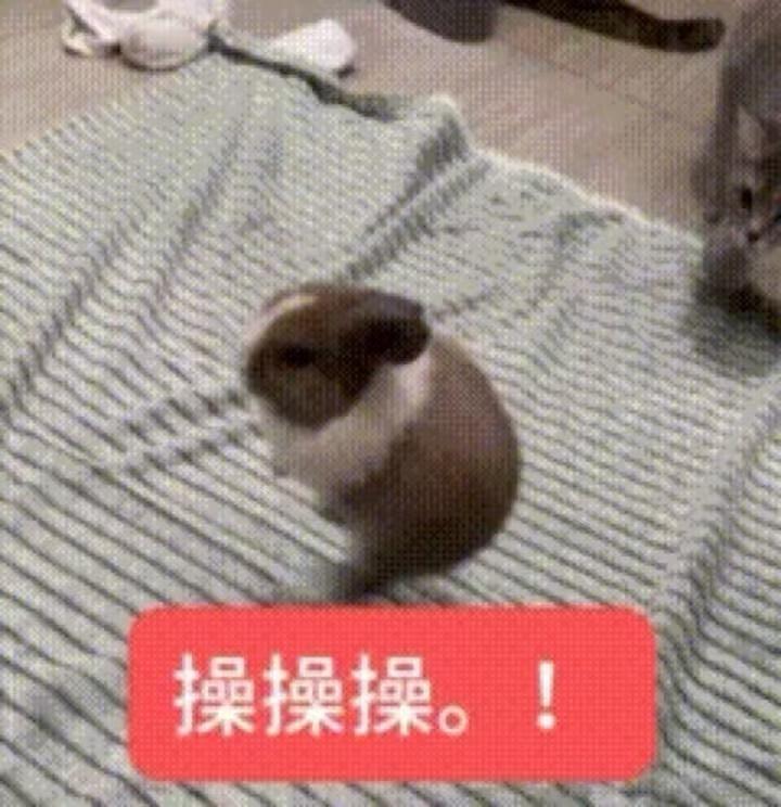 分享图片 