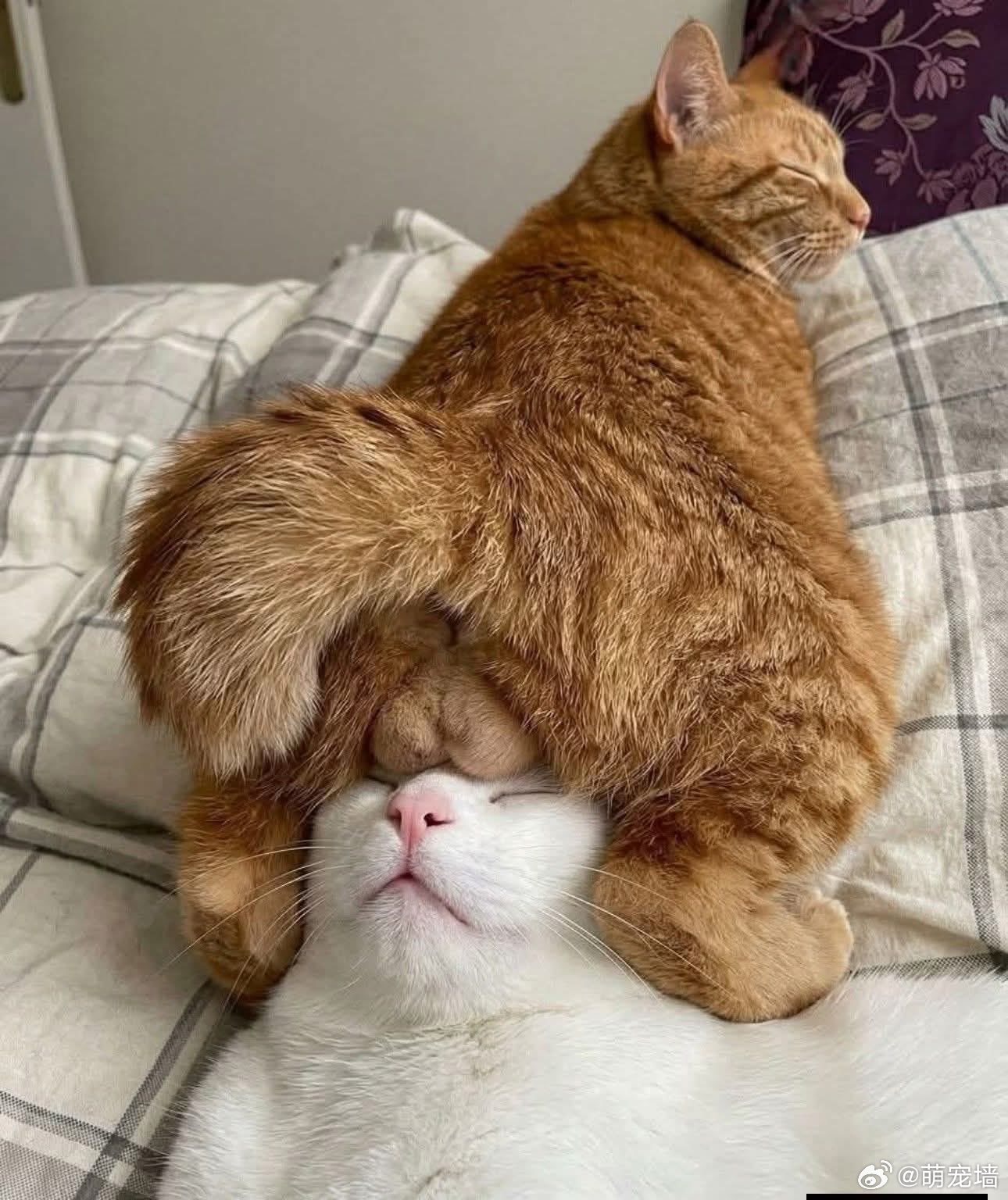 眼睛疲劳 