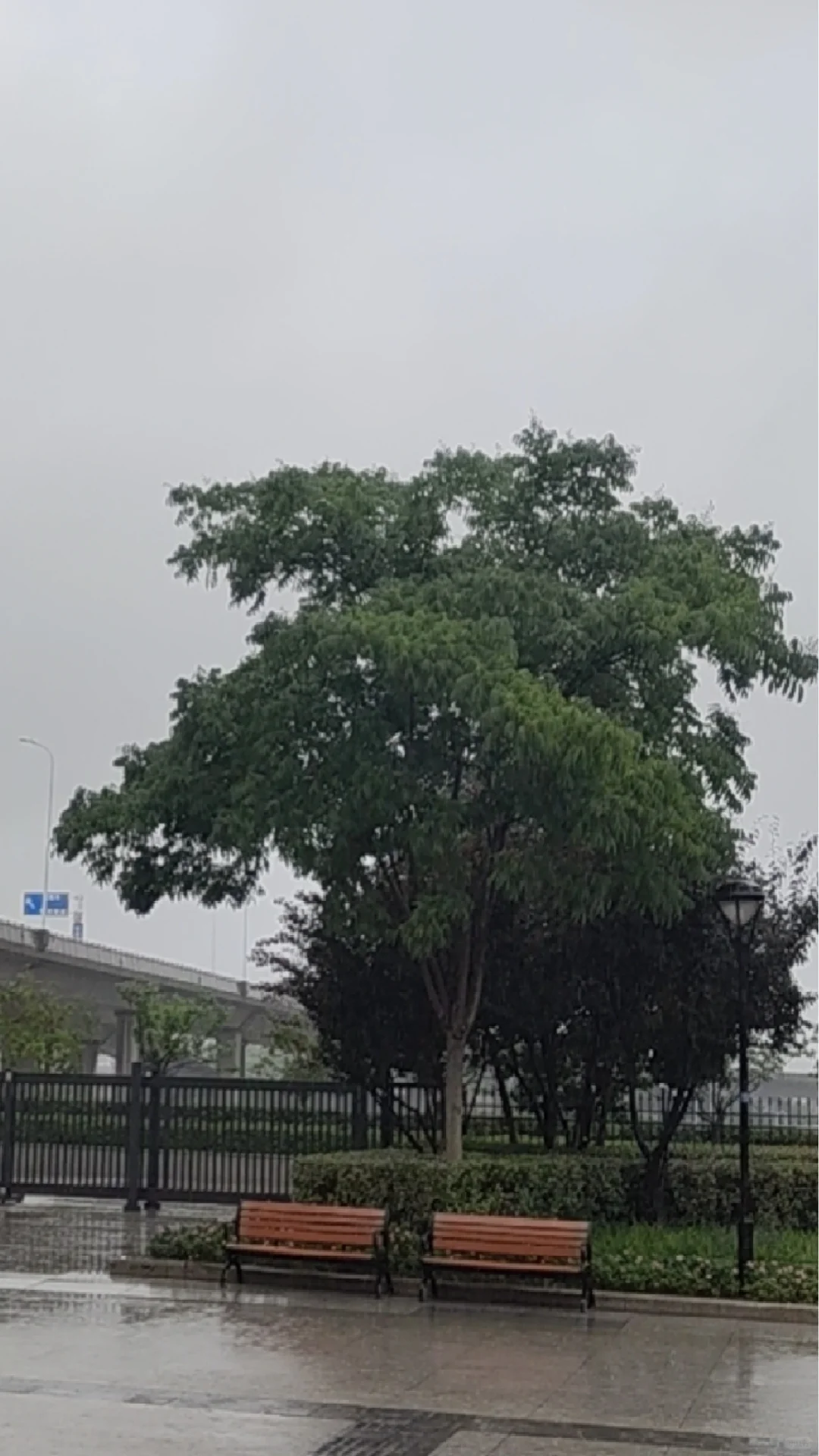 读书博主算不算？