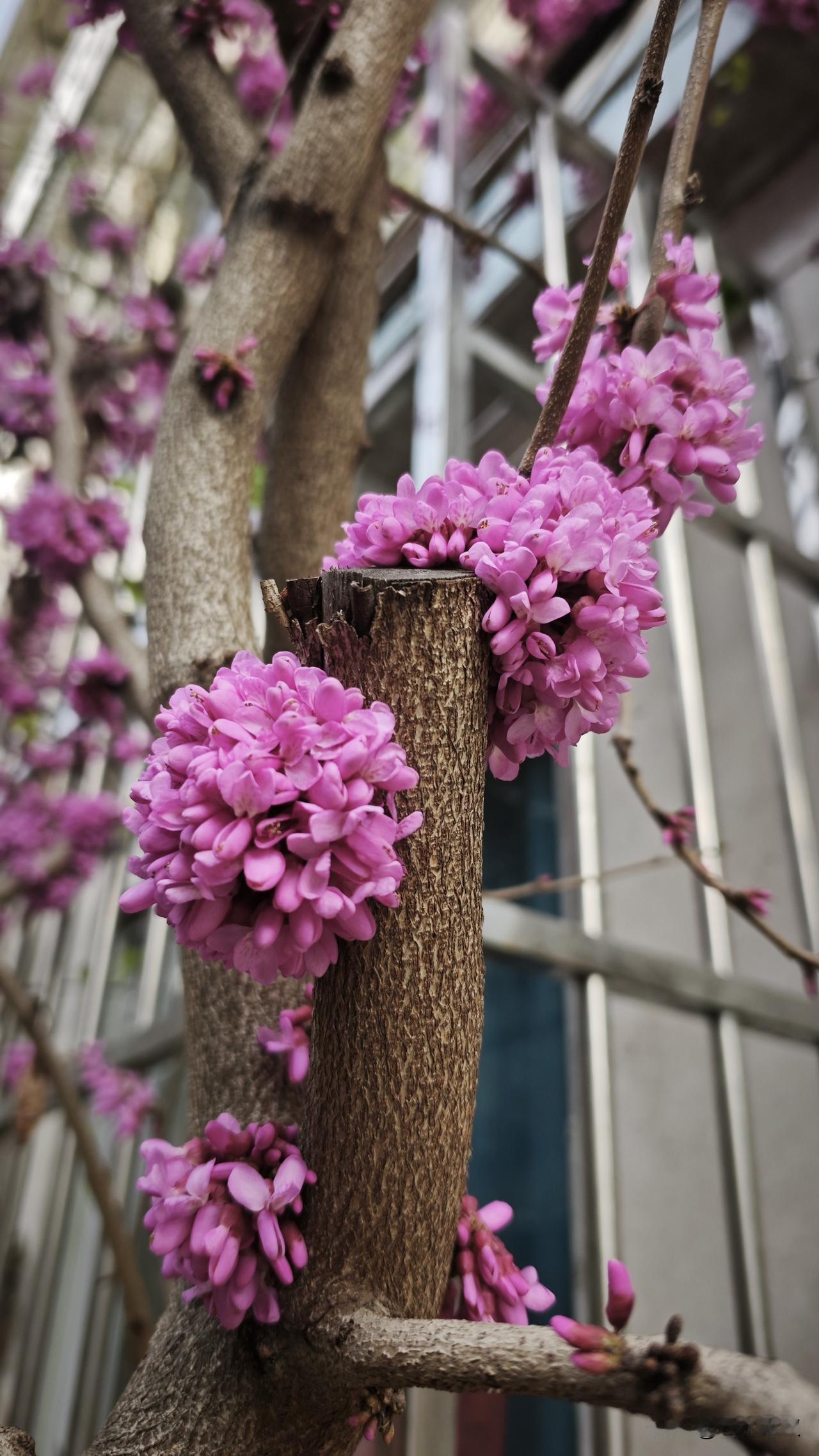 当工作岌岌可危，当事业层层受阻，当囊中无钱窘迫，当父母年迈需要照顾，当儿女出状况