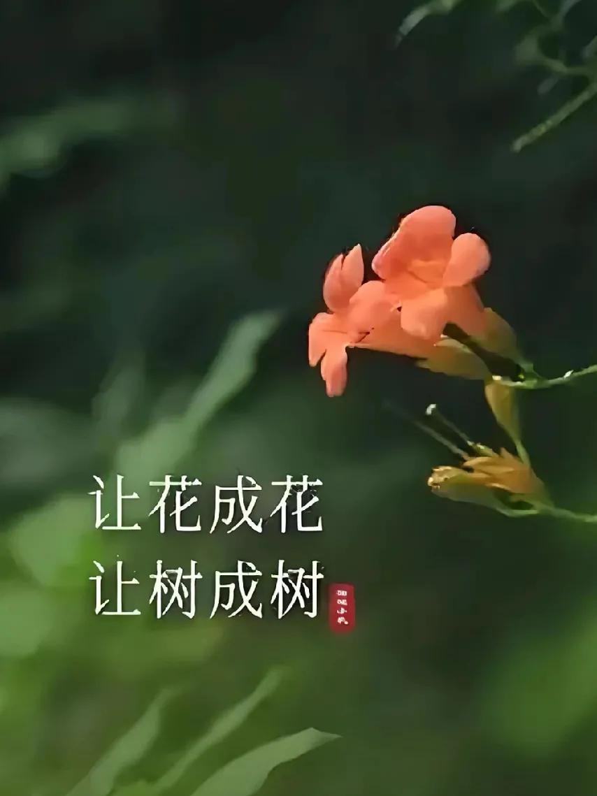 老师的工作就是让花成花，让树成树，没让你给咸鱼翻身，扶烂泥上墙。
有些老师吐槽学