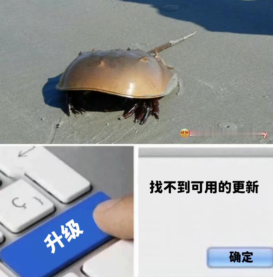 几亿年如一日#meme# ​​​