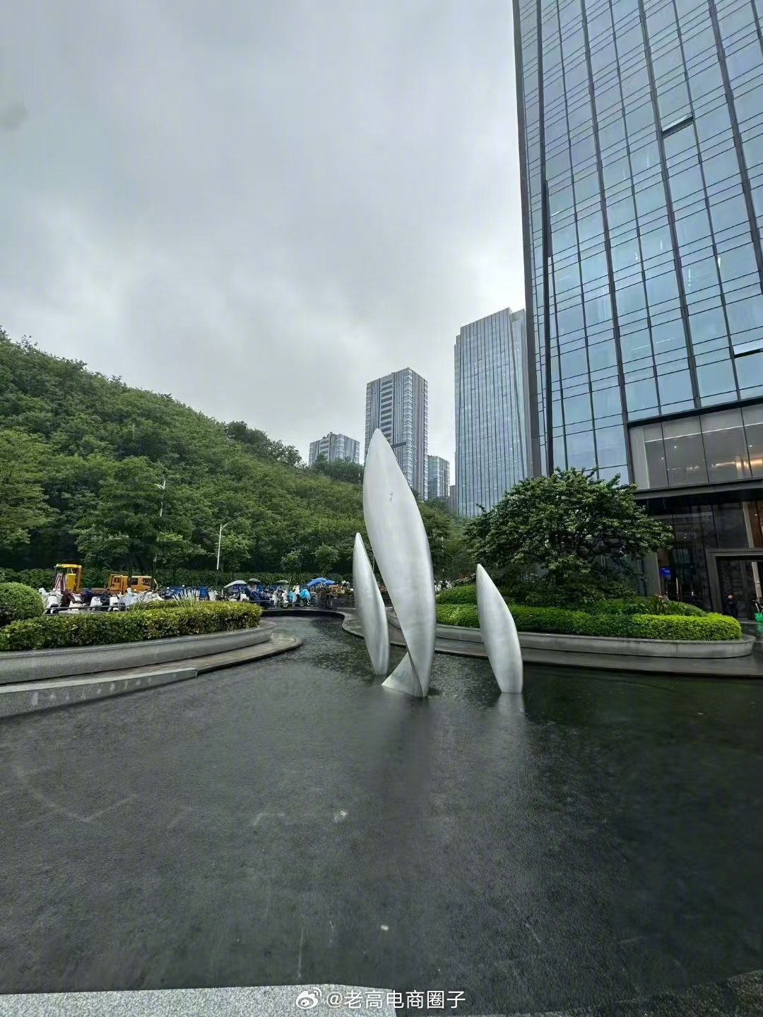 又来我们深圳办公室了，我们深圳团队运转的很好，欢迎我的广大老板粉丝们来做客 