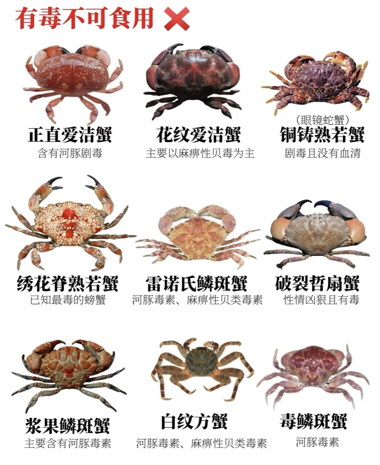 湖北有位网友在餐厅点了只螃蟹，没吃完想带回家当宠物，这段视频一上网就引发了热议。