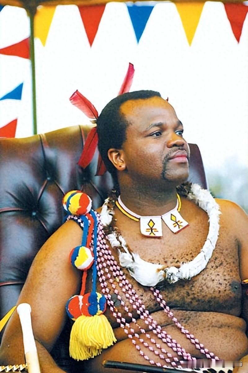 很多人问我，既然斯威士兰被“包围“了？那到底去没去成？答案是去了，毕竟是重要的邦