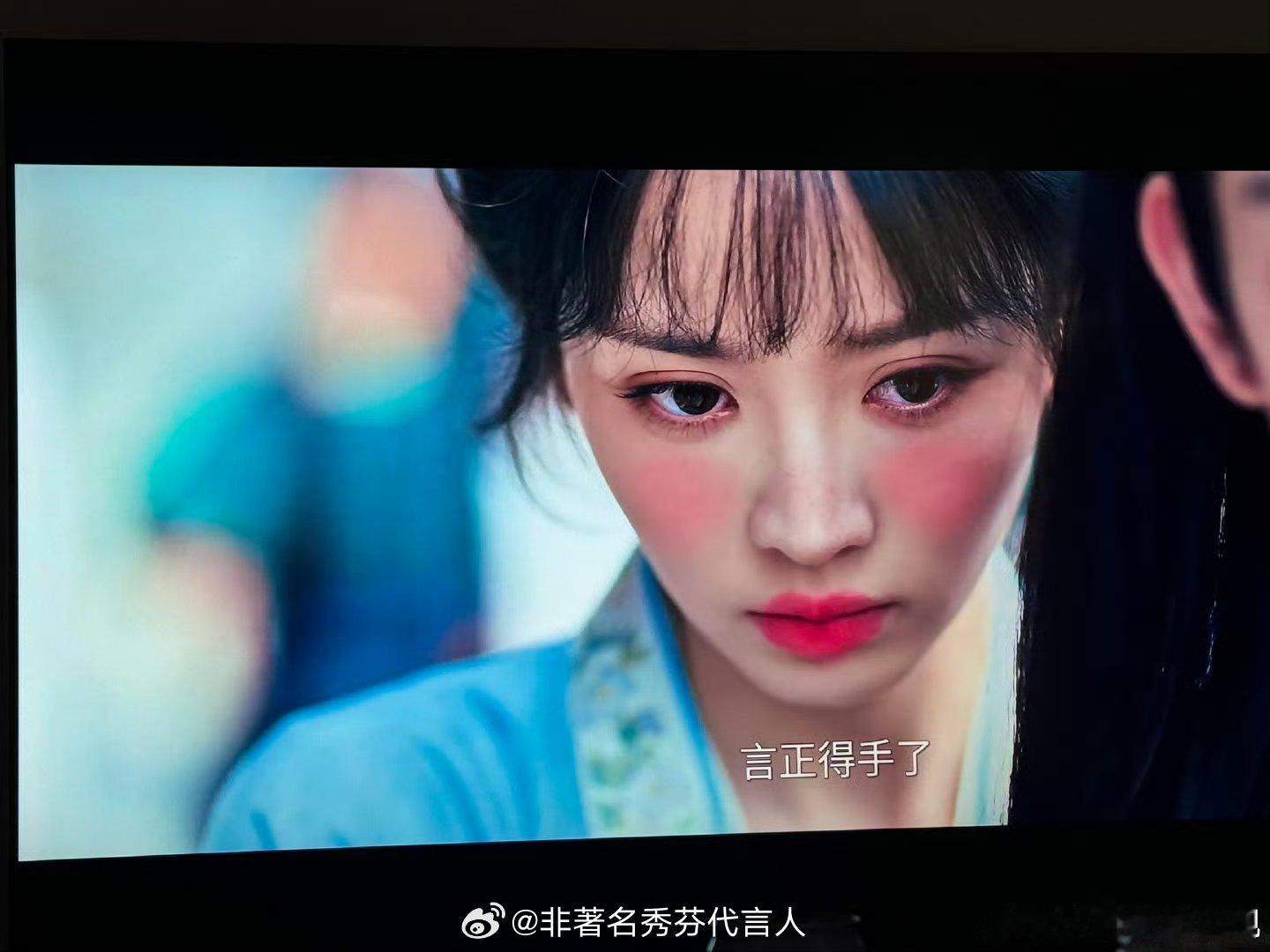 樊长玉 腮红感受到了 暴殄天物 