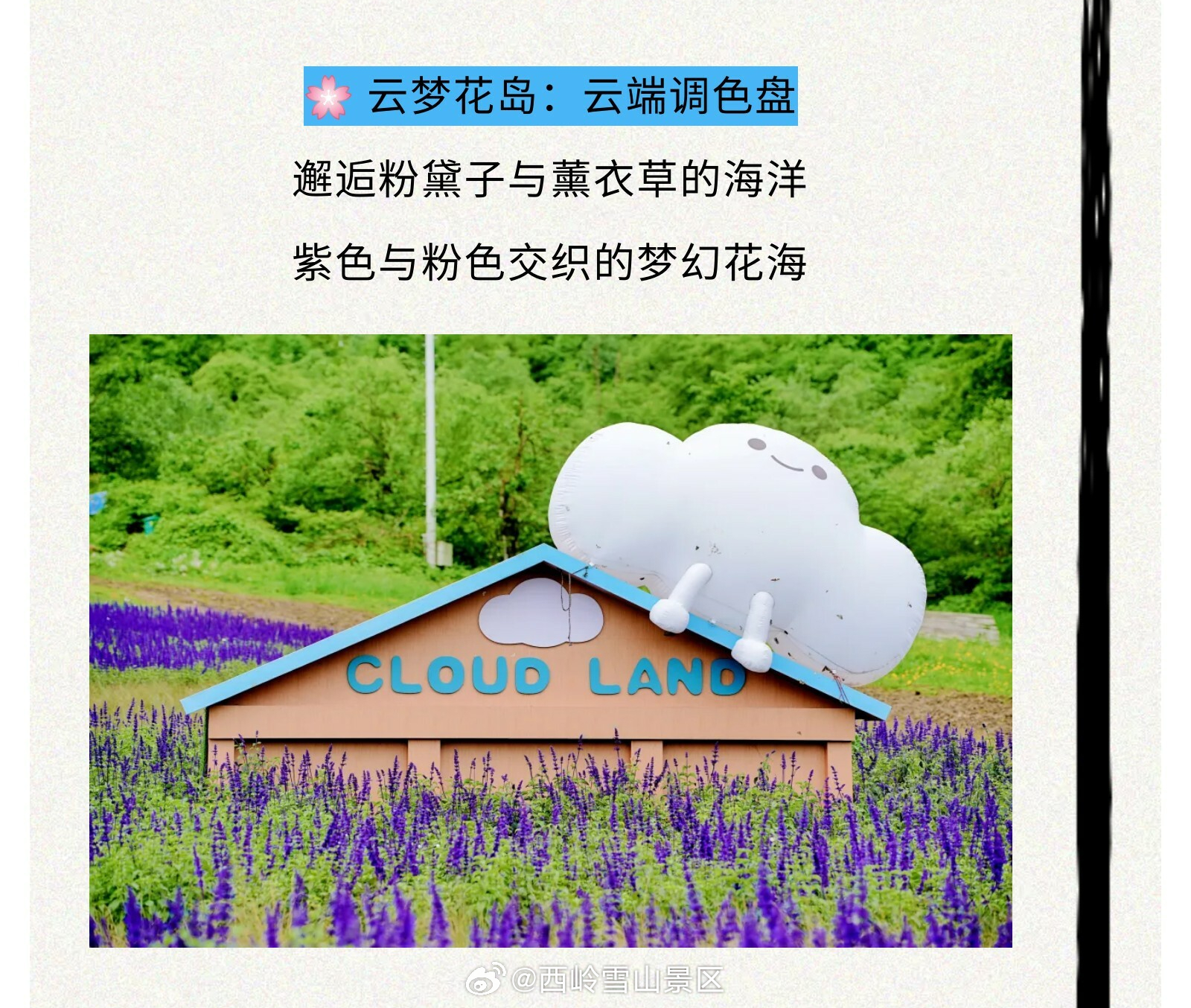 山河共赏·森野相逢 ｜ 西岭雪山×喇叭河“大绿季”清凉救驾！×喇叭河“大绿季”5