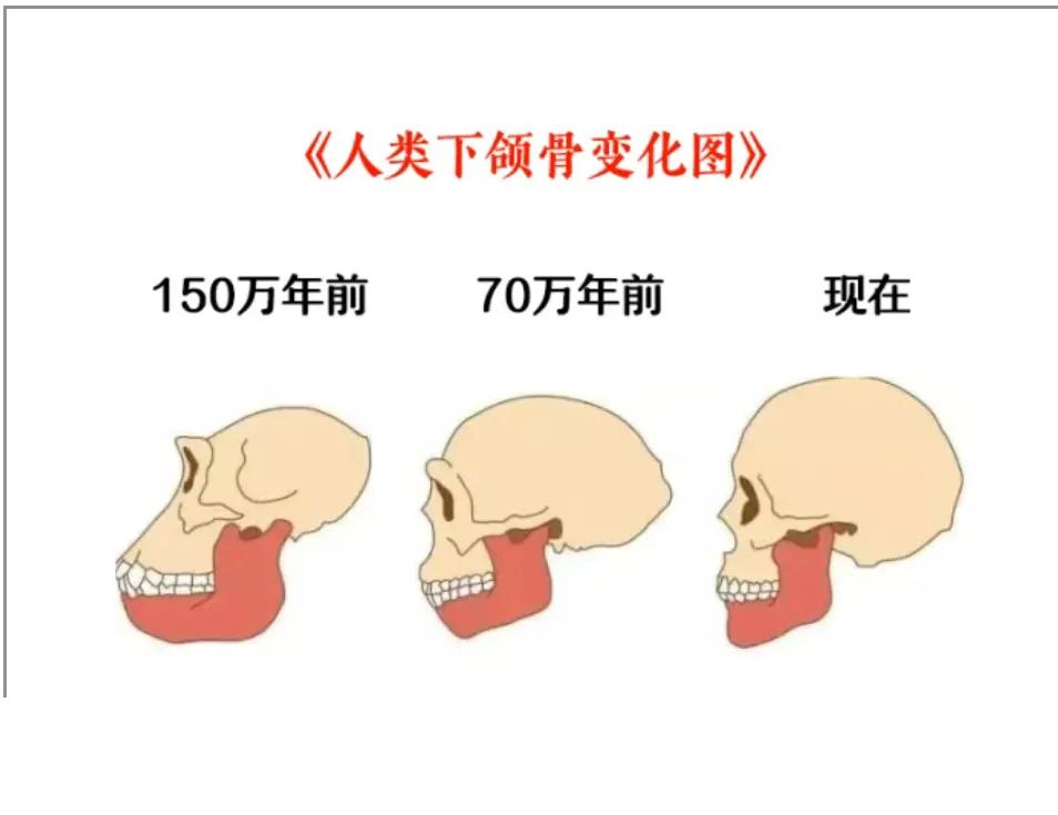 伙计们，你们想过赚钱做事的第一性原理是什么吗？
每个人的第一性原理貌似不一样，不