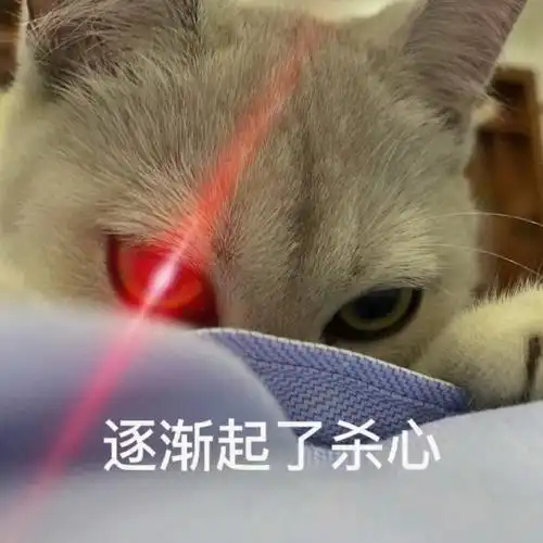 说个有意思的一点，白鹿那部莫离，里面的男二男三天天觊觎人妻，也就是觊觎白鹿演的叶