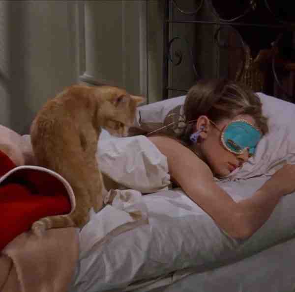 我不想有坏情绪，我想早睡。 ​​​