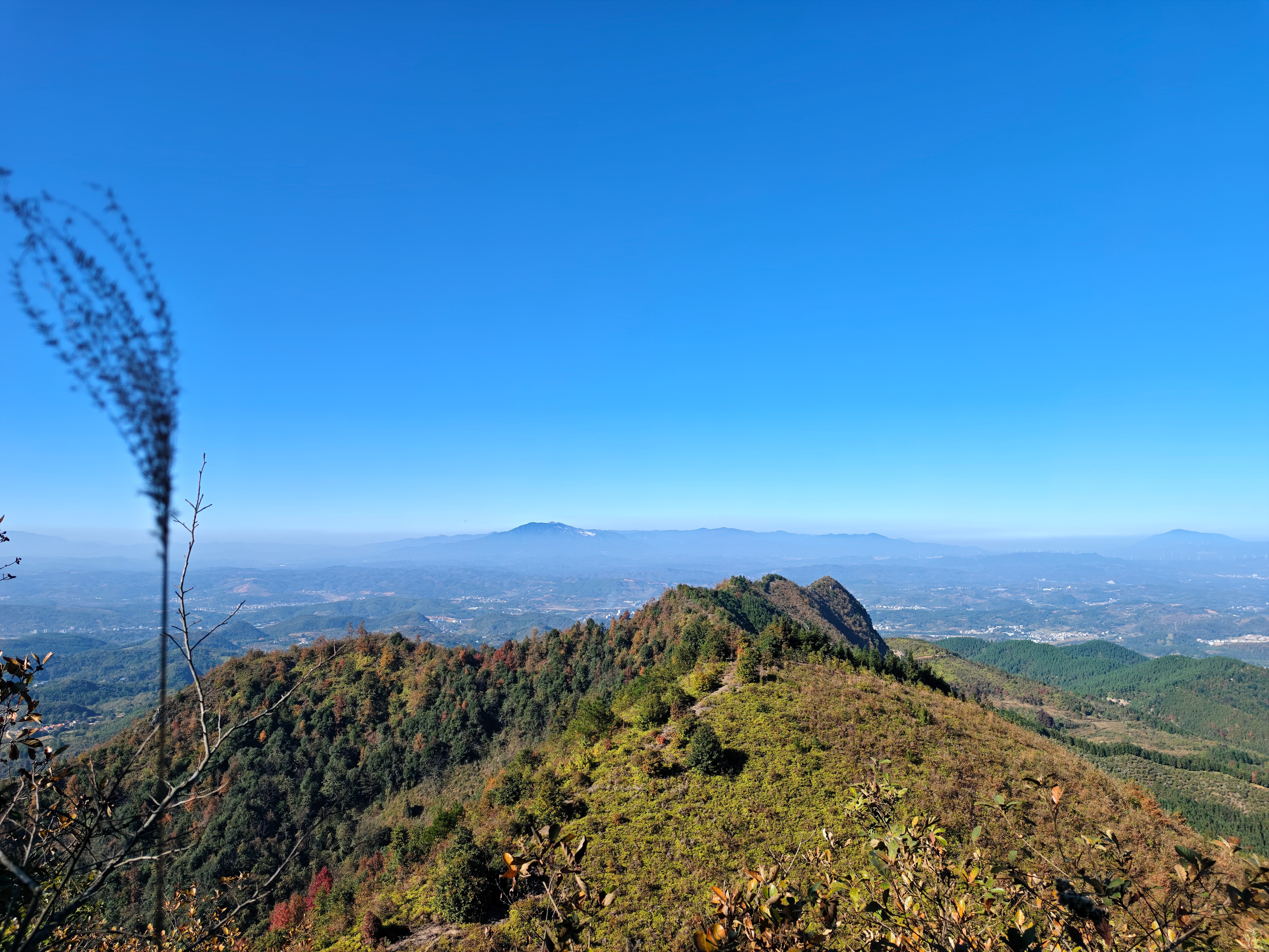 走自己的路，不慌不忙，修自己的心，默默发光！㊗️大家周末愉快！ 