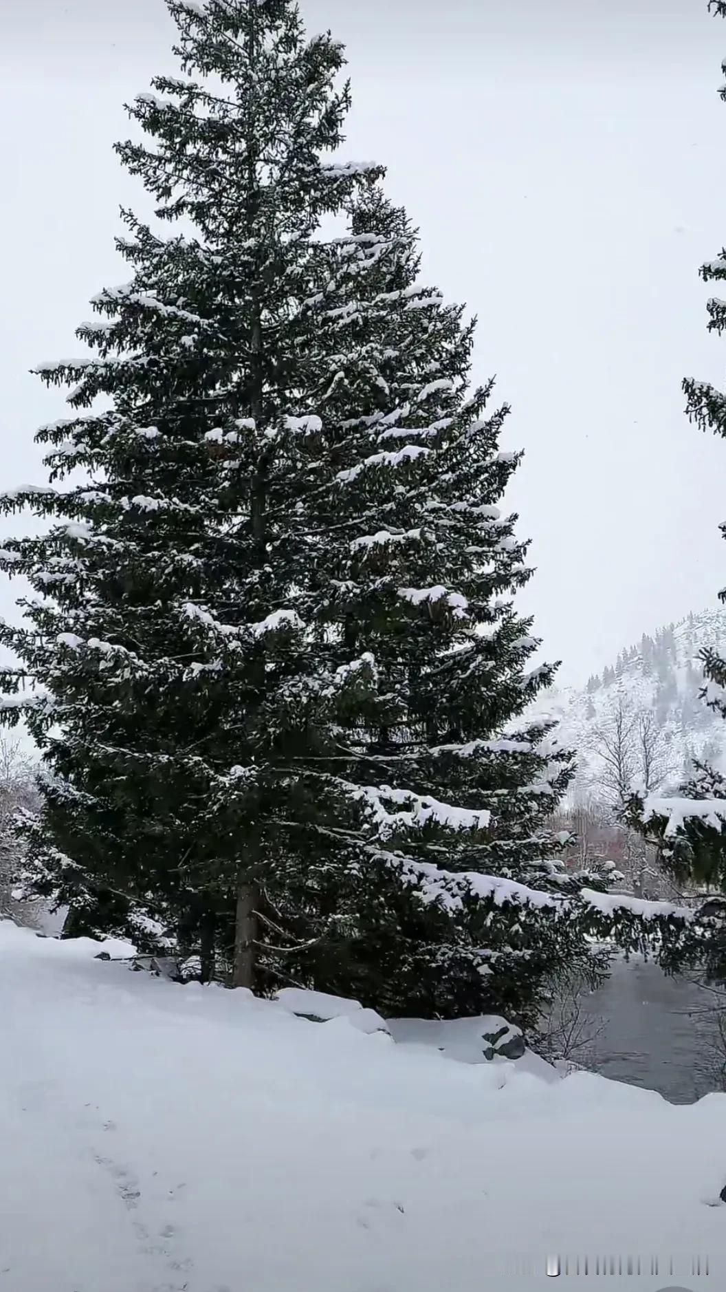 #绝美人间仙境山水风景#冬天的雪景很美。