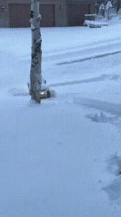 这个太厉害了，
我看了三次，
才看出来的。