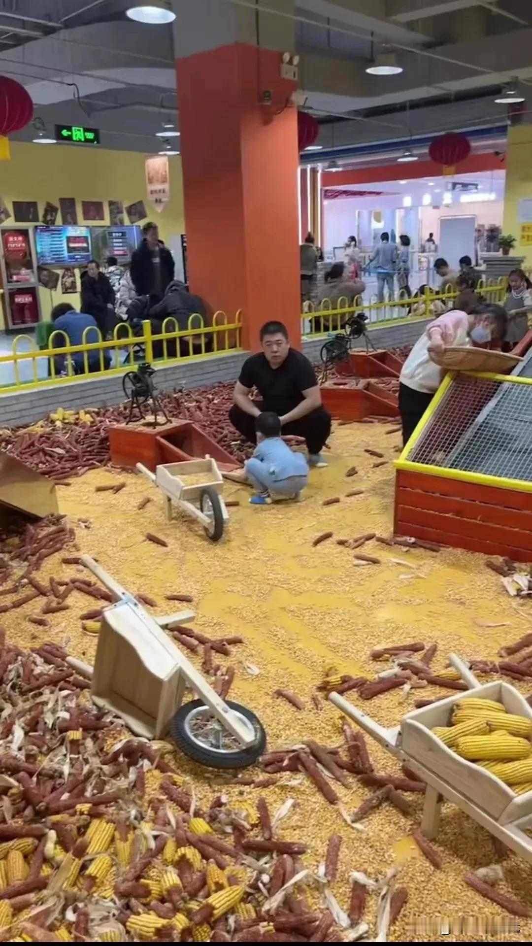发明这个让孩子玩，真乃商业奇才 ​！

 真应了专  家那句话：打工人得交钱才能